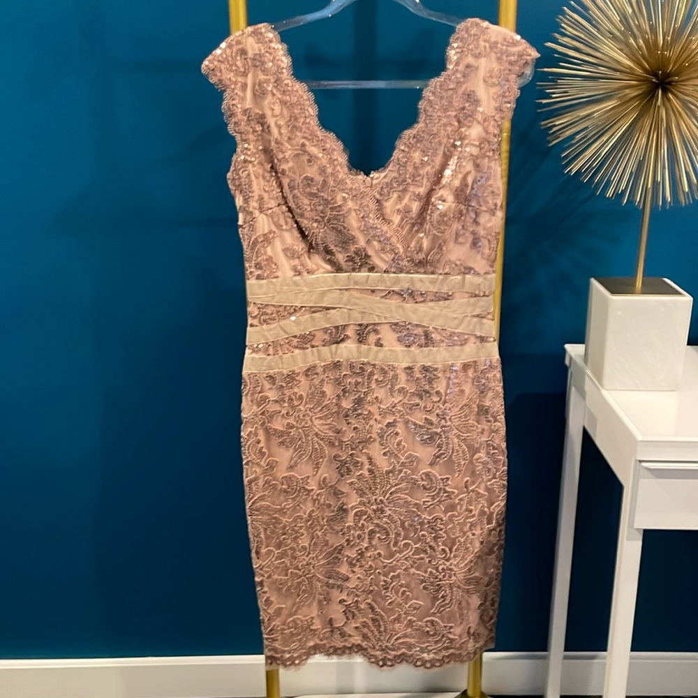 Elegant Blush Lace V-Neck Cocktail Dress